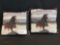 (2) Budweiser Pillows