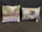 (2) Budweiser Pillows