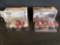 (2) Budweiser Diecast Earnhardt Jr Stock Cars