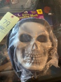 Bleeding Skull Mask