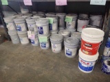 Assorted Used Paints & Primers