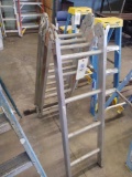 Werner Aluminum Step/ Extension Ladder