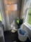 floor lamp, faux plant, basket