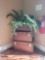 Graduated set of decor luggage with artificial plant