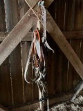 Antique leather draft horse harness