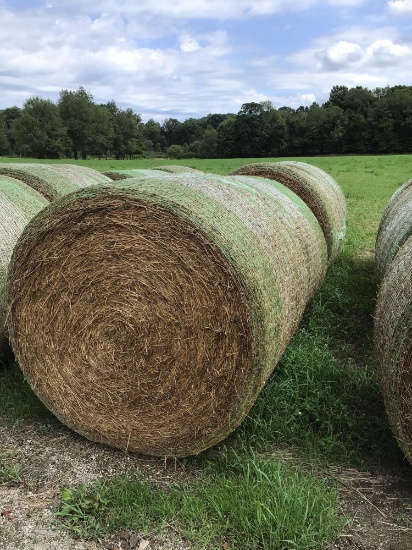 2022 second cutting alfalfa Timothy mix. Net wrapped, bid times four