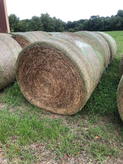 2022 second cutting alfalfa Timothy mix. Net wrapped, bid times four