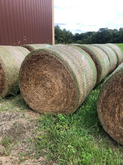 2022 second cutting alfalfa Timothy mix. Net wrapped, bid times four