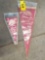 Davy Crockett and Indians pennants
