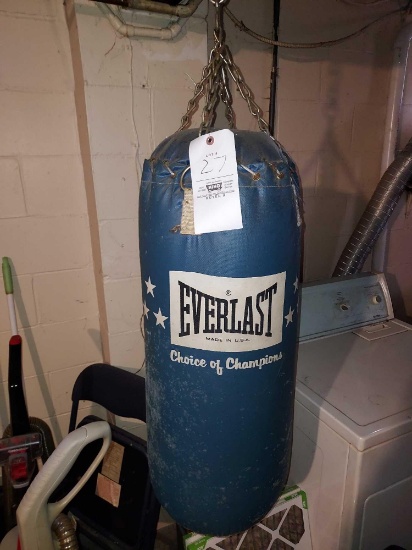 Everlast Punching Bag