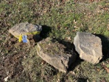 (3) large stones