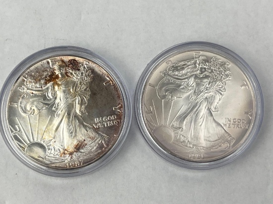 1987, 1991 US Silver Eagle .999 Silver bid x 2