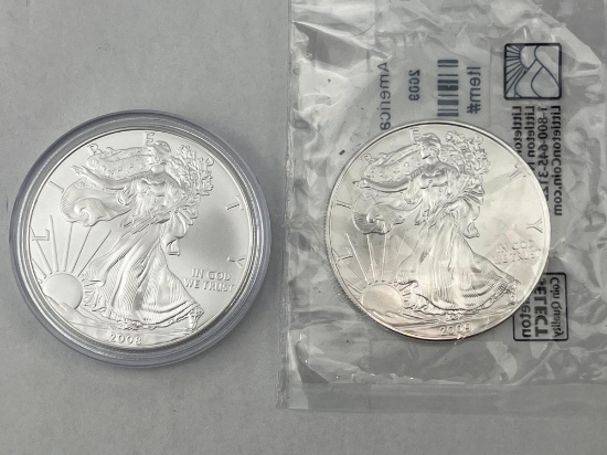 2008 & 2009 US Silver Eagle .999 Silver bid x 2