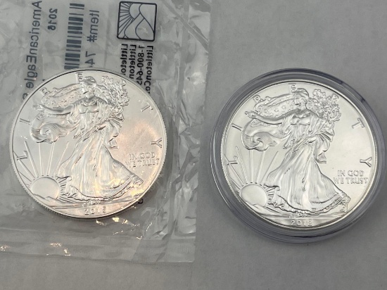 2015 & 2018 US Silver Eagle .999 Silver bid x 2