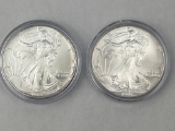 1994 & 1995 US Silver Eagle .999 Silver bid x 2