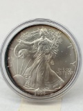 1996 US Silver Eagle .999 Silver