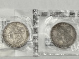 1880 & 1883 Morgan Dollar bid x 2