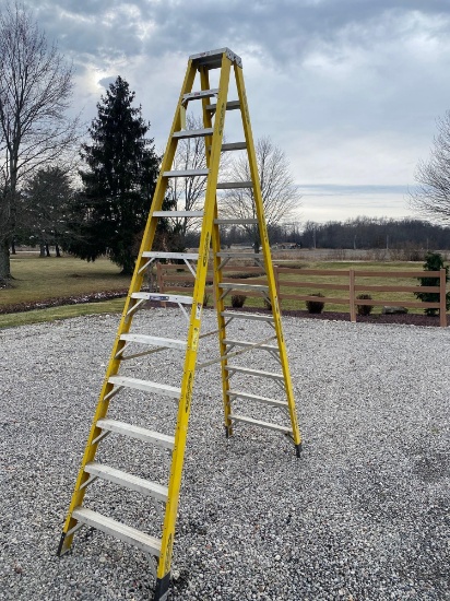 Werner Pro Series 12 ft Aluminum Fiberglas step ladder