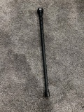 American Walking Stick