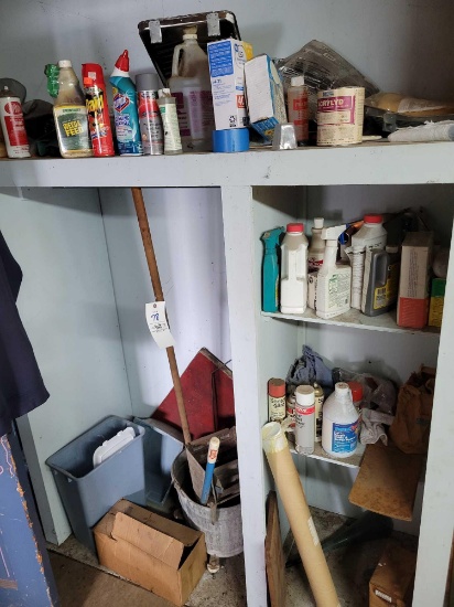 mop bucket and cleaners