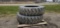 Firestone Tractor Tires 18.4R42