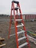 Werner 8 ft ladder