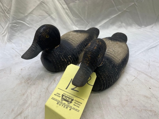 (2) Early Victor ducks