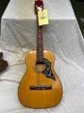 Early acoustic guitar