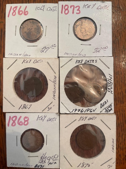 (6) Indian head Pennies