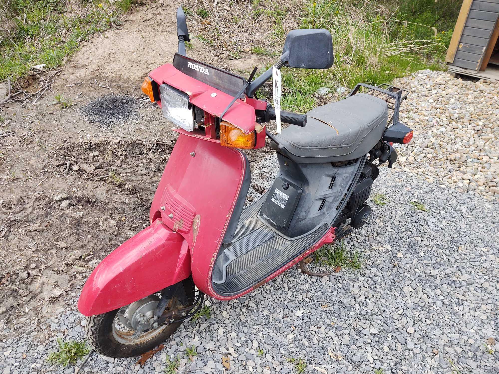 1983 Honda NH80 Motorcycle, VIN # | Proxibid