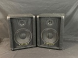 Pair Crate Pro Audio PE10T Speaker Cabinets