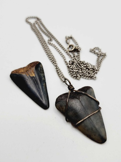 Prehistoric shark tooth necklace & unset tooth