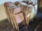 Metal folding chairs bid x 54