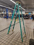 Werner 8 Ft. Fiberglass Ladder