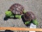 Tortoise statues