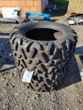 Maxxis bighorn 2.0 tires