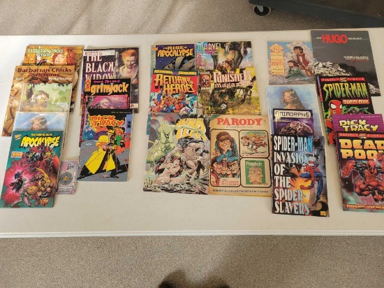 Group of comic books, Black Widow, Deadpool, Spider man and adult themed comics