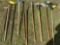 grouping of lawn tools, rakes, shovels, hoe and more