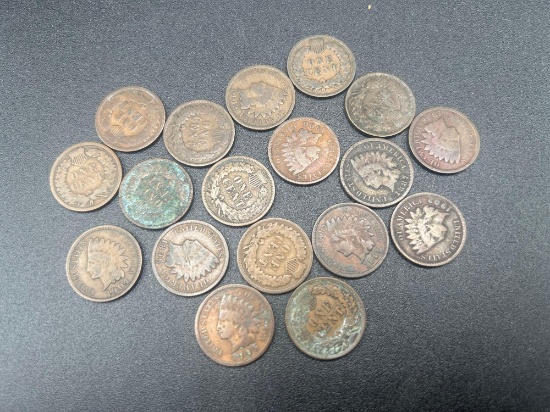(18) Indian Head Pennies