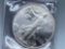1996 American Silver Eagle .999 Silver