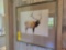 Beautiful Elk scene framed print