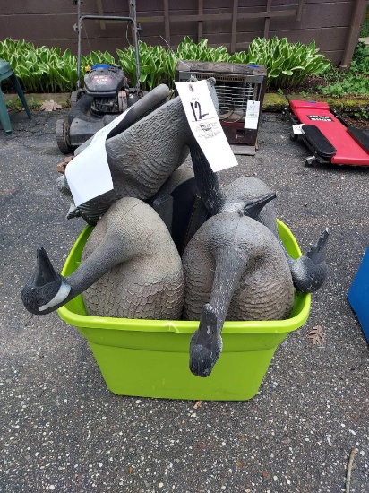 Tub of Assorted Canadian Geese Floater Decoys