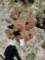 24 inch Christmas tree boring head