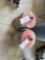 two 12inch hilti core bits