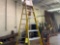 10 foot Step Ladder
