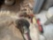 Hammers / Sander / Grinder