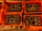 (4) Sets of Latini Dies