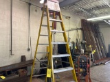 10 foot Step Ladder