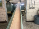 25ft Conveyer With Baldor Three Phase Motor