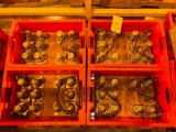 (4) Sets of Latini Dies